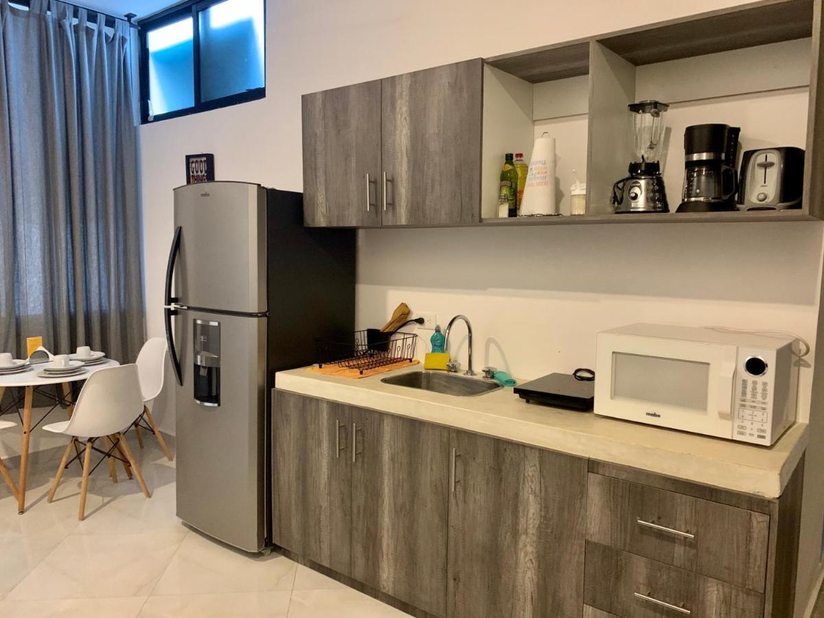 Silversands Hotel Boutique - 5Th Ave 신데 델 카르멘 외부 사진
